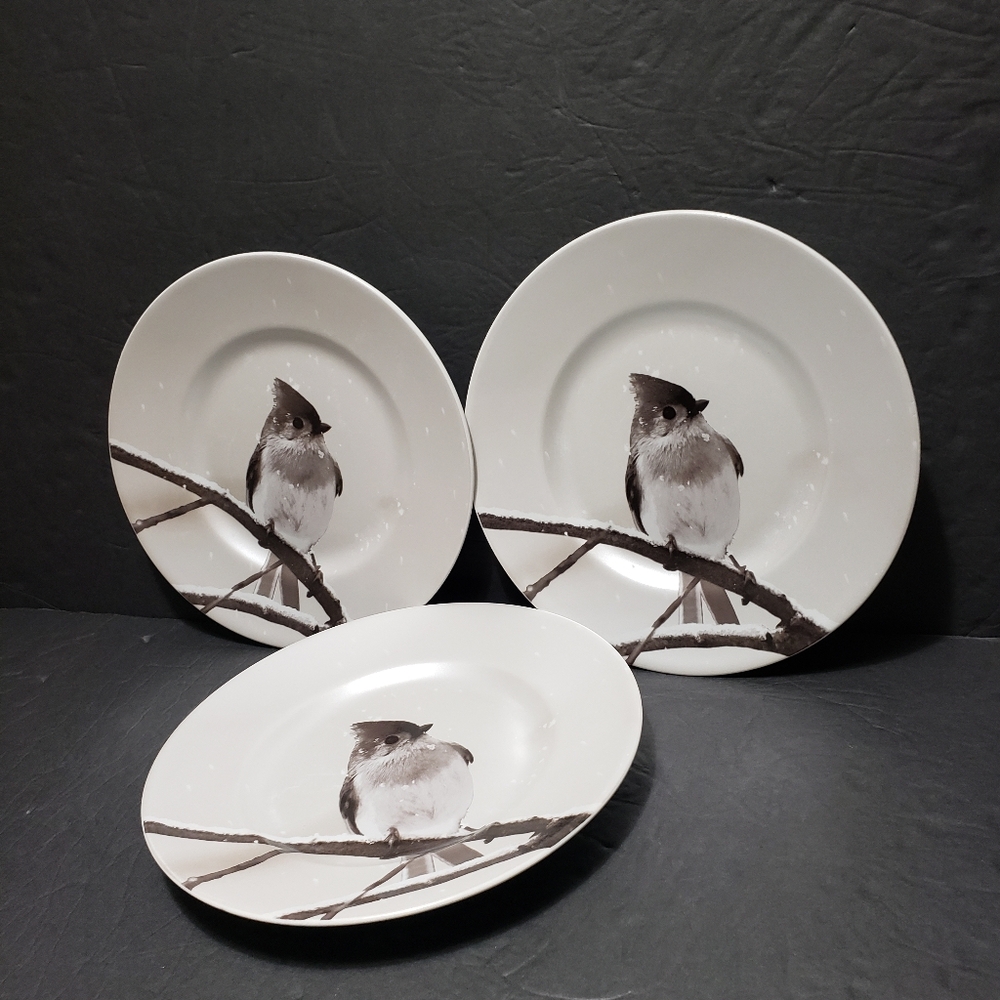 Set Of 3 PIER 1 IMPORTS **Snow Forest Bird** Salad Plates